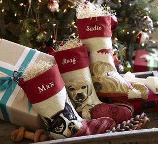 красный чулок с собаками для рождественских подарков